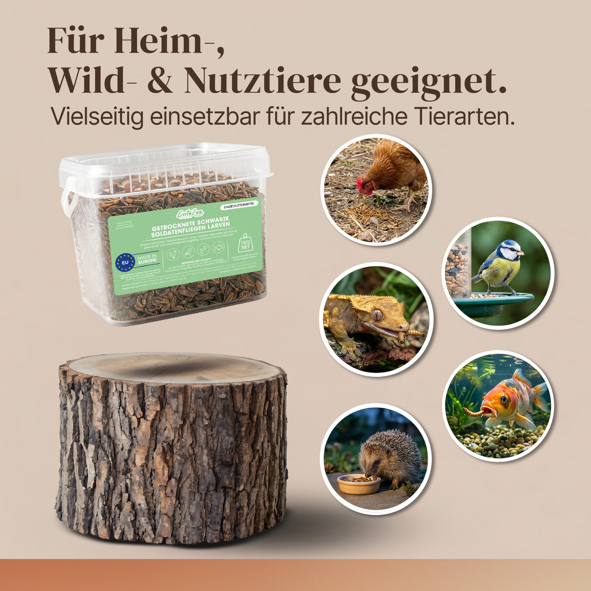 Getrocknete Schwarze Soldatenfliegen Larven für Vögel und andere Haustiere