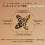 Getrocknete Schwarze Soldatenfliegen Larven für Vögel und andere Haustiere
