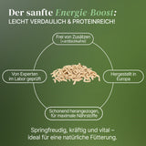 Lebende Pinky Maden (Lucilia sp.) Goldfliege Maden - einzeln entnehmbar