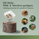 Steppengrille (Gryllus assimilis) als Futtertier für Reptilien, Amphibien, Vögel, Nagetiere