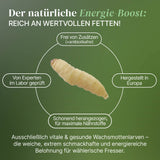 Lebende Wachsmotten Larven / Bienenmaden Larven in Substrat als Futtertier