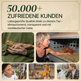 Wanderheuschrecke (locusta migratoria) als Futtertier für Reptilien, Amphibien, Vögel, Nagetiere