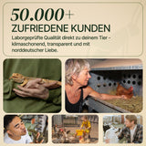 Fruchtfliegen (Drosophila Hydei) Zuchtansatz, Futterinsekten für kleine Tiere