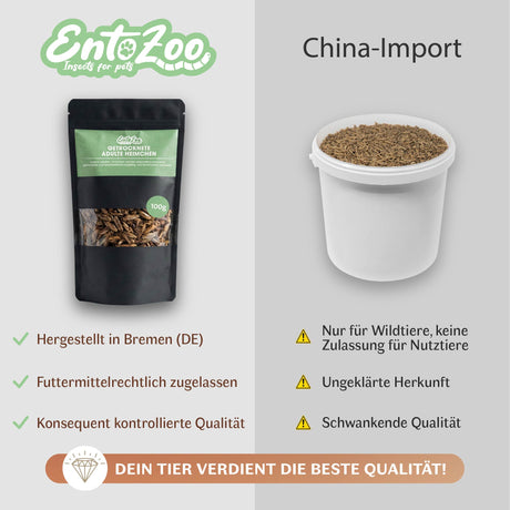 Getrocknete Heimchen Acheta domesticus  - groß - mit Beinen und Flügeln