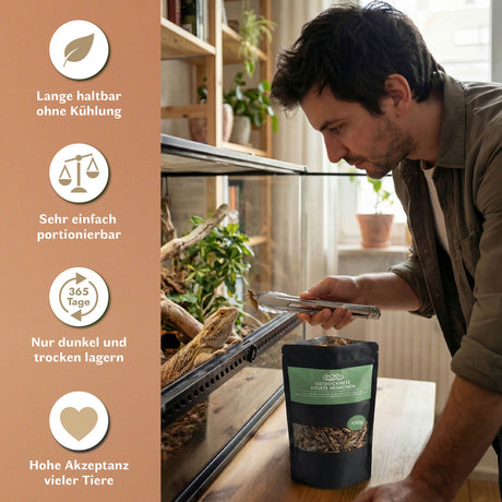 Getrocknete Heimchen Acheta domesticus  - groß - mit Beinen und Flügeln