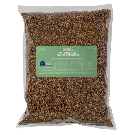 Getrocknete Heimchen Acheta domesticus  - groß - mit Beinen und Flügeln