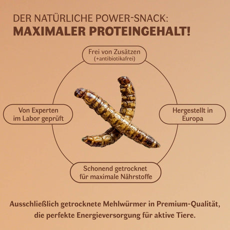 Getrocknete Mehlwürmer