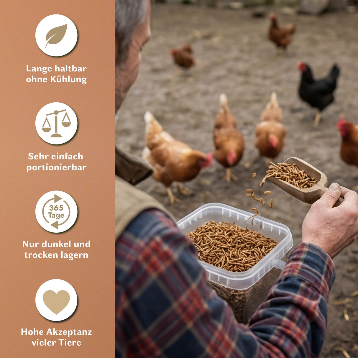 Getrocknete Mehlwürmer