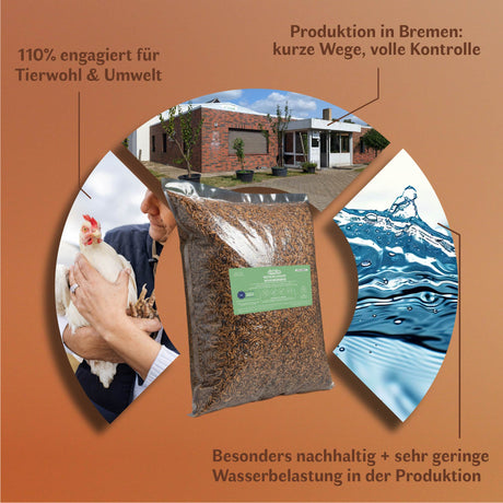 Getrocknete Mehlwürmer