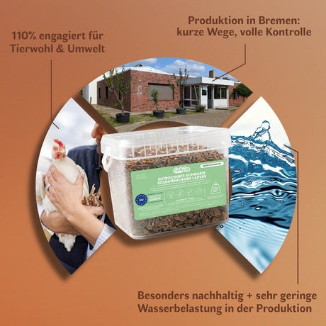 Getrocknete Schwarze Soldatenfliegen Larven für Vögel und andere Haustiere