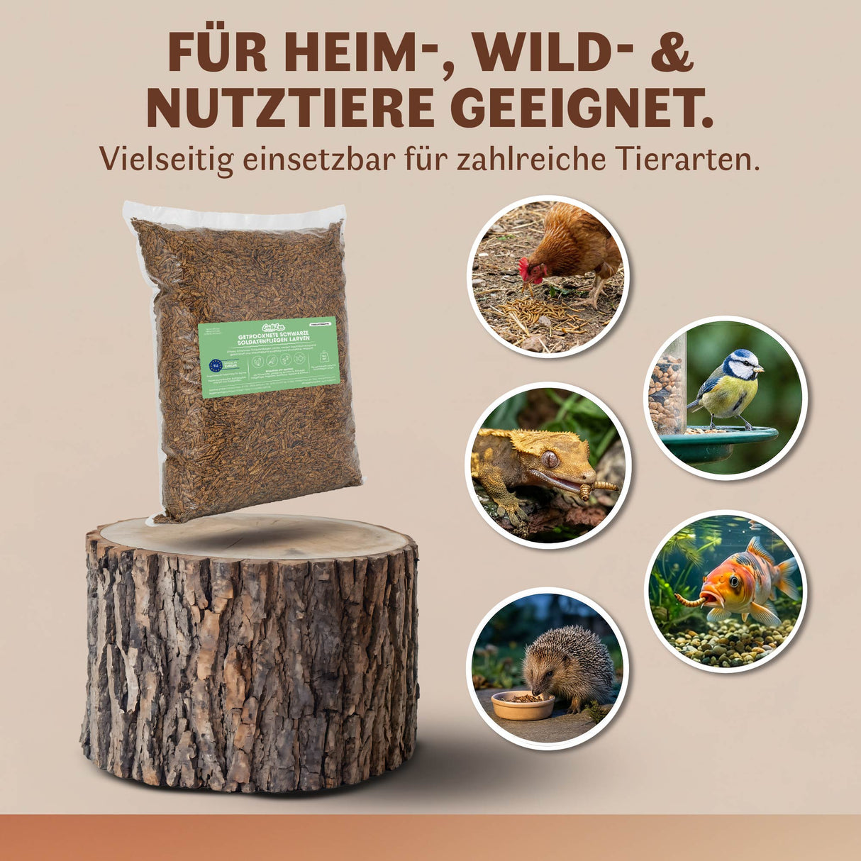 Getrocknete Schwarze Soldatenfliegen Larven für Vögel und andere Haustiere