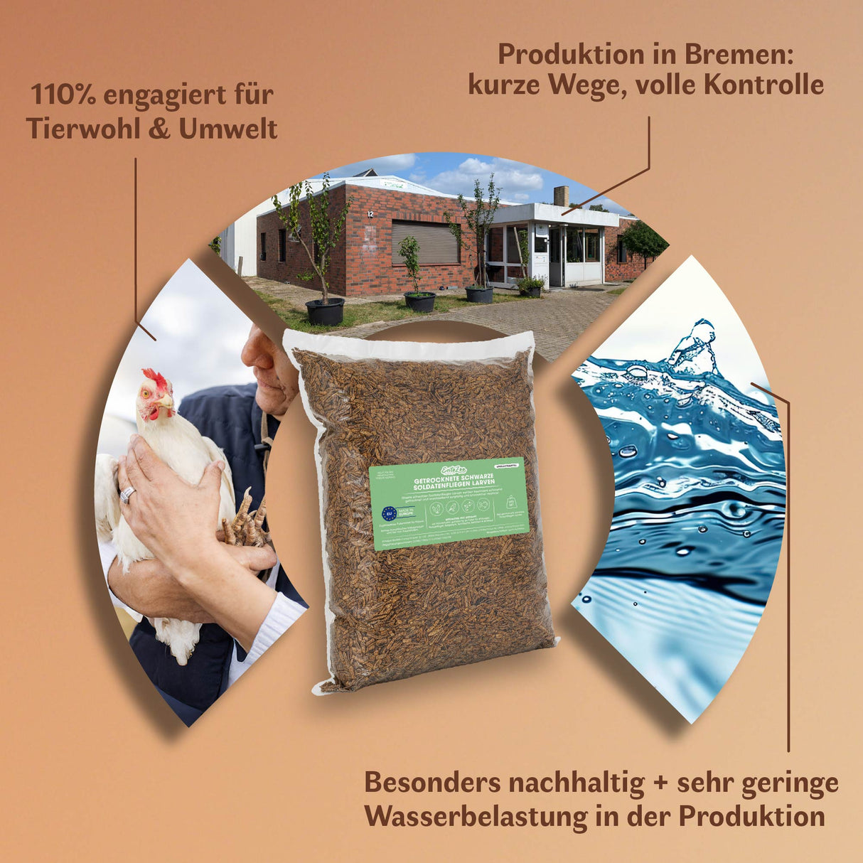 Getrocknete Schwarze Soldatenfliegen Larven für Vögel und andere Haustiere