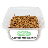 Lebende Mehlwürmer als Futtertier