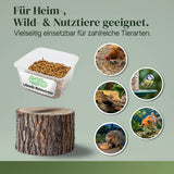Lebende Mehlwürmer als Futtertier