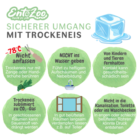 Gefrorene Wachsmotten Larven / Bienenmaden Larven - Blanchiert -  Futterinsekten - einzeln entnehmbar