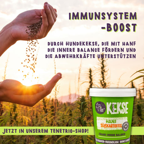 Tenetrio -  Hundekekse Hanf Süßkartoffel Ruhe Ausgeglichenheit stressreduzierend