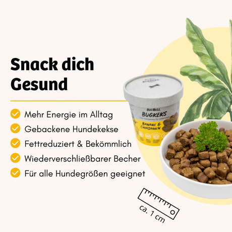 BugBell - Hundekeks - Kraft und Energie - BugKeks Banane & Chiasamen 150g
