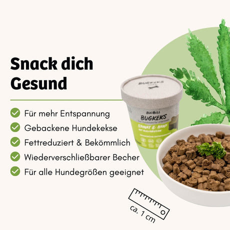 BugBell - Hundekeks - Entspannung und Beruhigung - Bugkeks Spinat & Hanf 150g