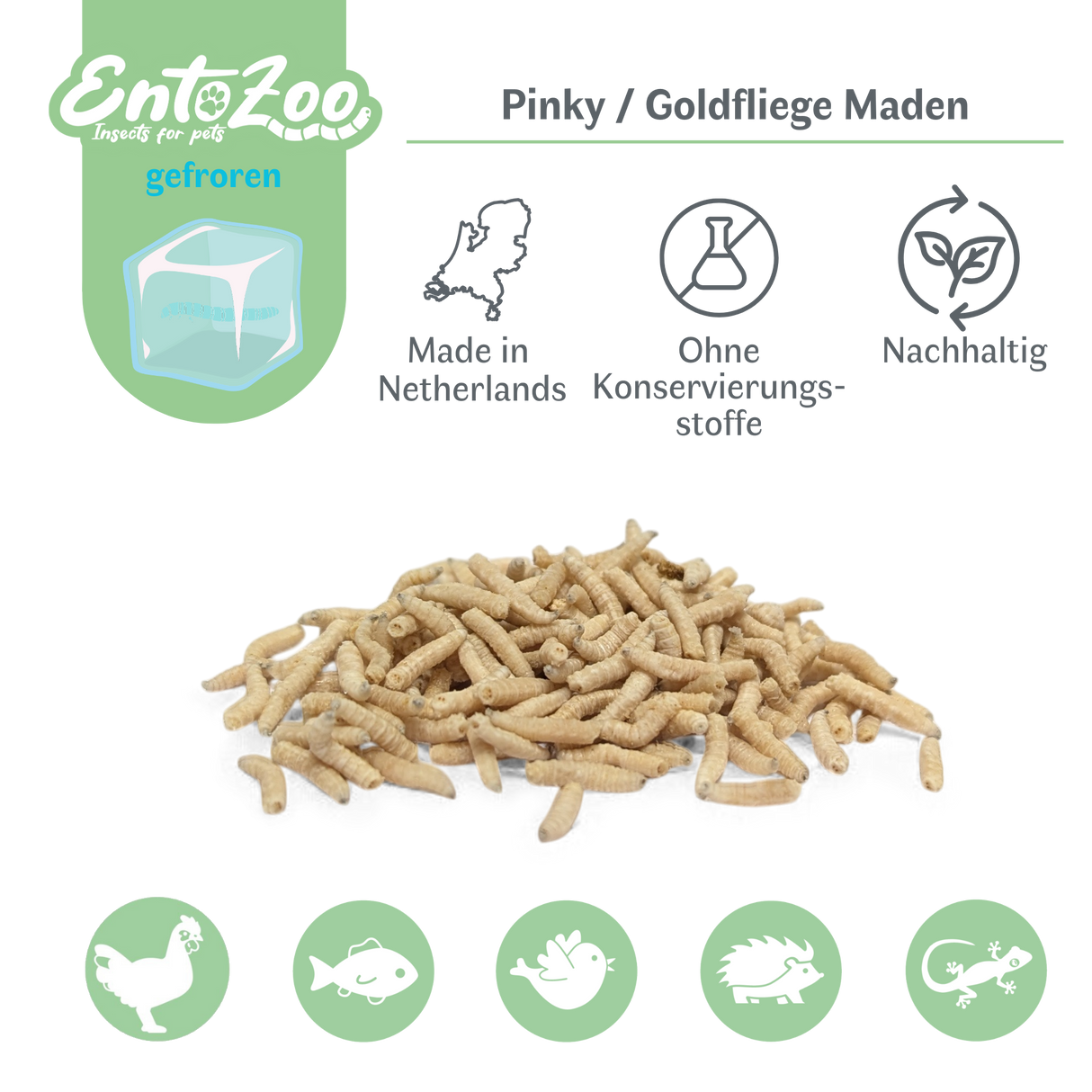 Frozen Pinky Maggots (Lucilia sp.) Greenbottle Fly Maggots - Individually Removable
