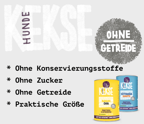 Tenetrio - Hundekekse Banane Chia für das Immun- und Verdauungssystem