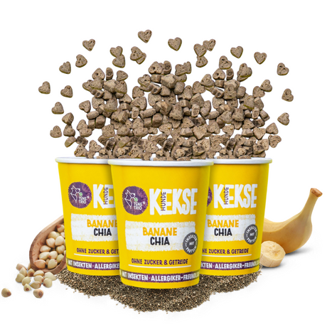 Tenetrio - Hundekekse Banane Chia für das Immun- und Verdauungssystem