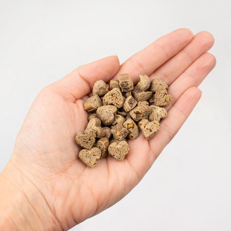 Tenetrio - Hundekekse Banane Chia für das Immun- und Verdauungssystem