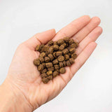 Tenetrio - Hundesofties Birne Parmesan Darm anregend, Cholesterin regulierend