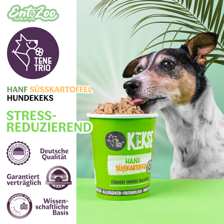 Tenetrio -  Hundekekse Hanf Süßkartoffel Ruhe Ausgeglichenheit stressreduzierend