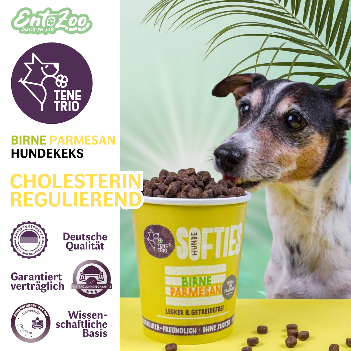 Tenetrio - Hundesofties Birne Parmesan Darm anregend, Cholesterin regulierend