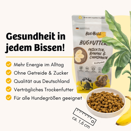 BugBell - Trockenfutter - Kraft und Energie - BugFutter Kraftpaket Banane & Chiasamen 900g