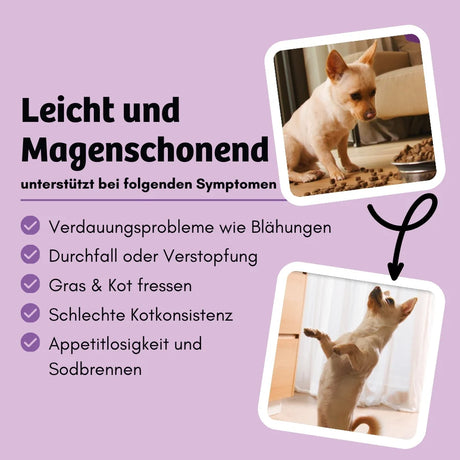 Bugbell - Hunde Trockenfutter - BellyVital Verdauung & Darmflora