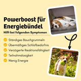 BugBell Dry Food - Power & Energy - Banana & Chia Power Mix 900g