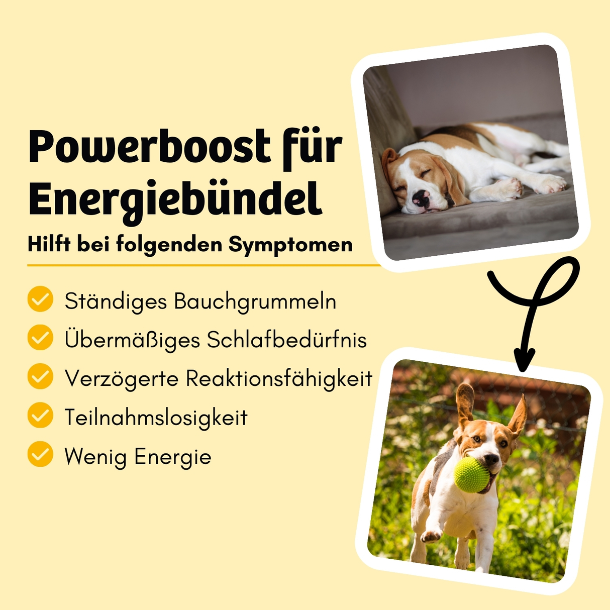 BugBell - Hundekeks - Kraft und Energie - BugKeks Banane & Chiasamen 150g