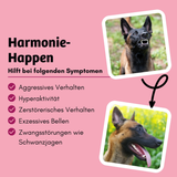 Bugbell - Hundekeks - Harmonie und Zufriedenheit - BugKeks Cranberry & Käse 150g