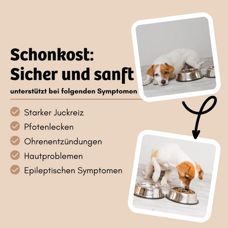 Bugbell - Trockenfutter für Hunde High Sensitive - Unverträglichkeit & Allergie 800g