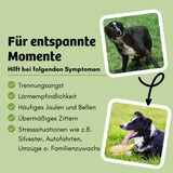 BugBell - Hundekeks - Entspannung und Beruhigung - Bugkeks Spinat & Hanf 150g