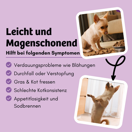 BugBell - Hundekeks - Entschlackung und Entgiftung - Bugkeks Heidelbeere & Flohsamen 150g