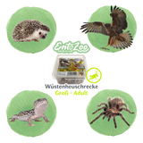 Desert Locust (Schistocerca gregaria) as Feeder Insect for Reptiles, Amphibians, Birds, Rodents