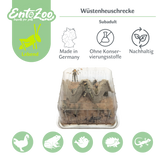 Desert Locust (Schistocerca gregaria) as Feeder Insect for Reptiles, Amphibians, Birds, Rodents