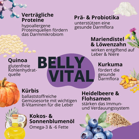Bugbell - Hunde Trockenfutter - BellyVital Verdauung & Darmflora