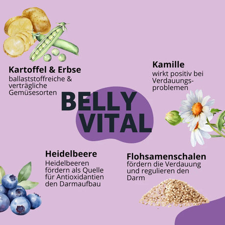 BugBell - Knabbersticks für Hunde - BellyVital - Vegan - Verdauung & Darmflora 60g