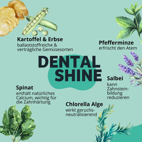 BugBell - Hunde Knabbersticks - DentalShine - Mundgeruch & Zahnstein - Vegan - Ergänzungsfuttermittel für Hunde, Tiernahrung