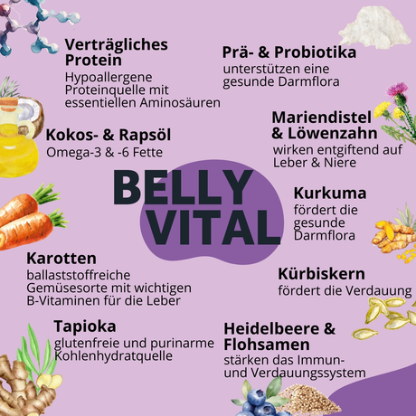 BugBell - Hundekeks - Entschlackung und Entgiftung - Bugkeks Heidelbeere & Flohsamen 150g