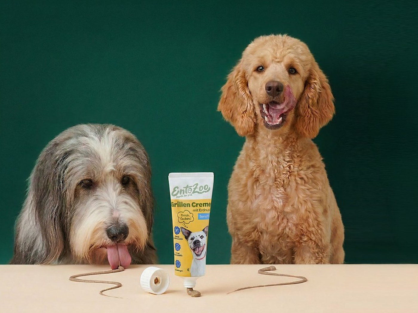 Zwei Hunde an einem Tisch mit einer Tube EntoZoo Grillen Creme