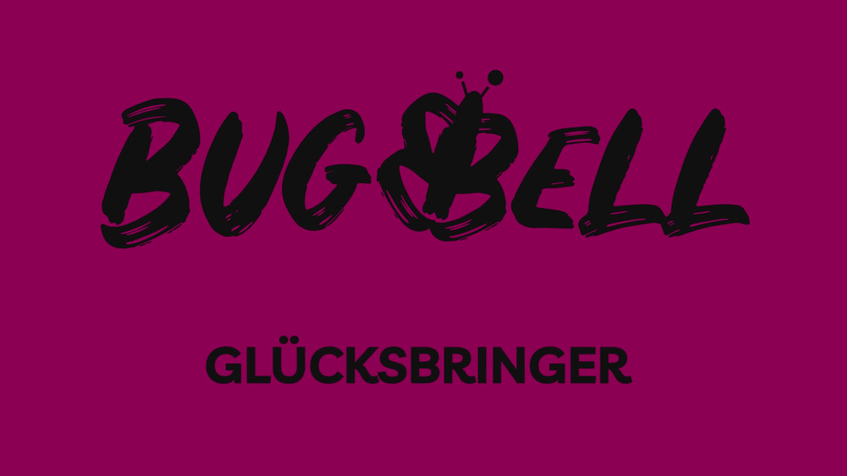 BugBell Dry Food - Harmony & Wellbeing - Cranberry & Cheese 900g