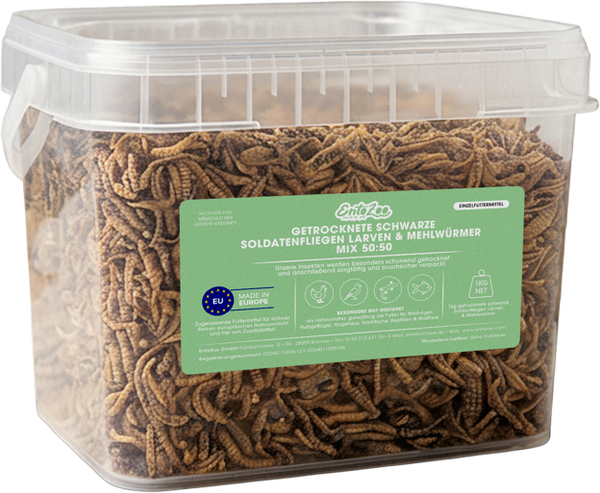 Insekten-Mix Soldatenfliege & Mehlwurm
